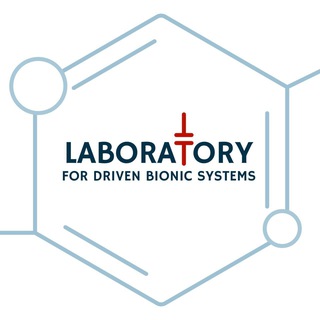 Laboratory for Driven Bionic Systems