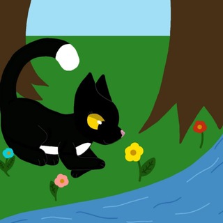 🌖🖤Лагерь Луннохвостой🖤🌖