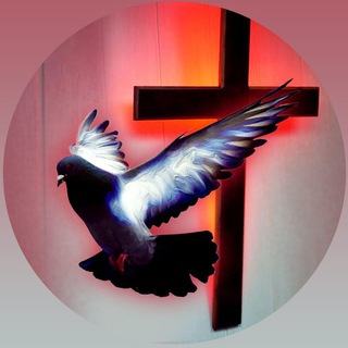 НАВЕКИ ПАРА - Егор и Наталия Лансере