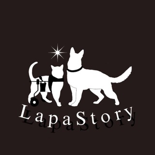 LapaStory