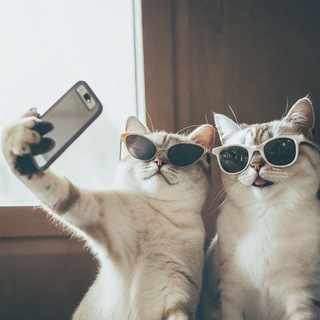 Лапка Кремля