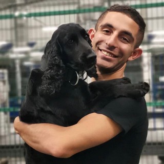 Лапка в ногу. Просто, вместе, с улыбкой 🐾👣