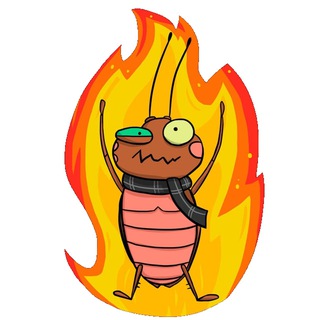 Лакмусовые тараканы ИТ-директора