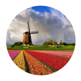 Нидерландский (голландский) язык и Нидерланды.