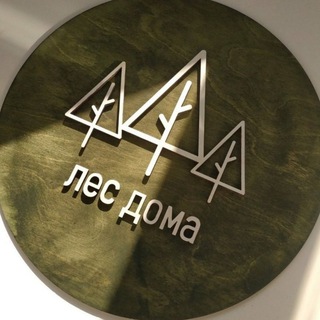 Когда в твоём доме лес 🌲