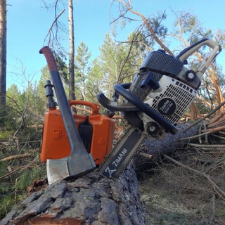 🌲🪵Лес нас КОРМИТ🪵🌲