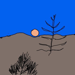 Поехали в Магадан