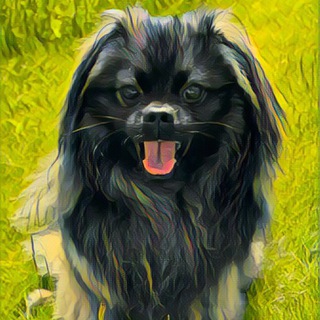 ЛЁВУШКА Приют для собак