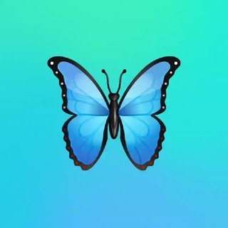 💎Wall Street Premium 💎