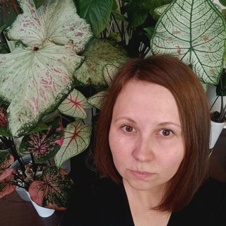 Life with caladiums🌱