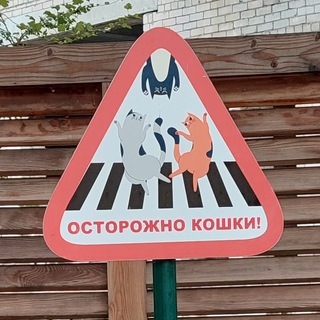 Готовлюсь к ЕГЭ 2025🤓| Study with me