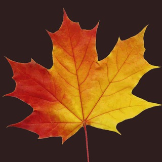 🍁Листопадовка