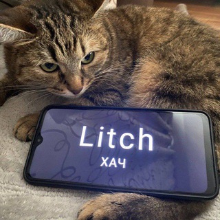 Литч Хатч Учит ( База )