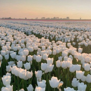 Жить для Бога❤️‍🩹