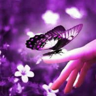 @Best_Perfect_Super_Group@❗❗❗