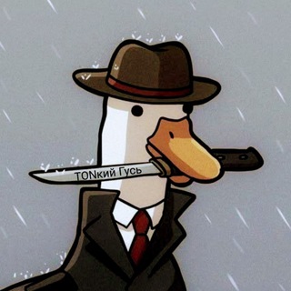 TONᴋий Гуᴄь