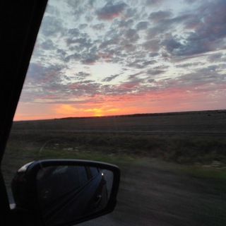 Шкаф Элис Alice