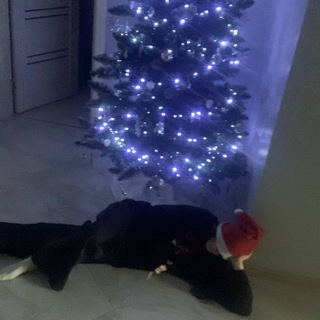 алина поньк👩🏻