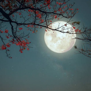 Лунный Календарь - ежедневые советы