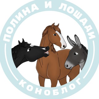 Полина и Лошади | коноблог