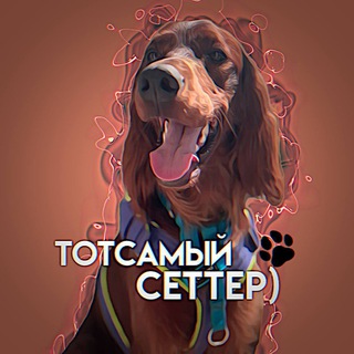 тотсамый сеттер)ушли