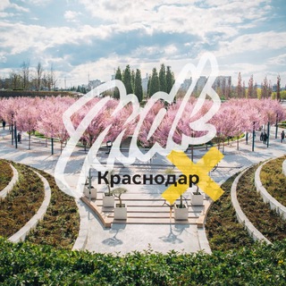 MDK Краснодар