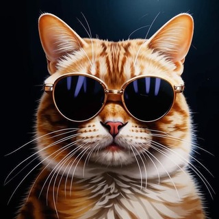 My dear pets 🖤 | Котики 🐈‍⬛️ Собачки 🐕‍🦺