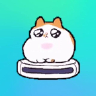 🐱MEOW БАНДА🐈