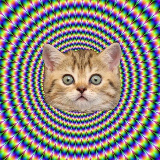 Мемы в ТГ | Юмор