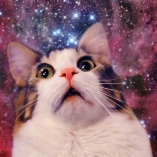 МЕМструальный цикл