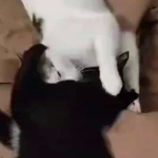 Май&Марта This is love...