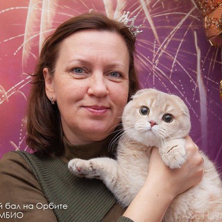 МакСел_Наталит питомник шотландских кошек