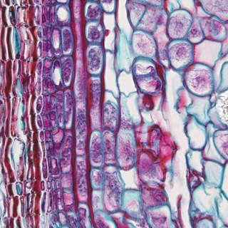 Mainа🏳️‍🌈👞