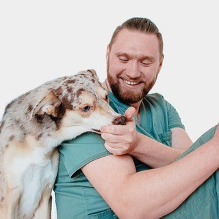 Максим Коротенко - ветеринарный врач/реабилитолог/врач мануальной терапии 🩺🐕