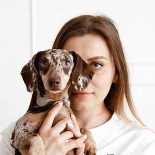 Таня и такса на колесах