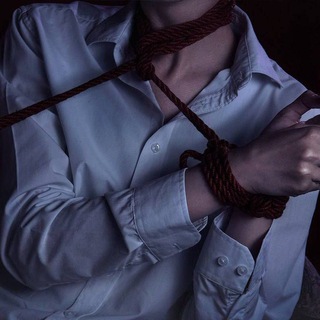 Черепашки на мб