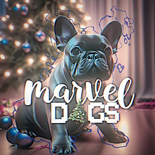 𝑴𝒂𝒓𝒗𝒆𝒍.𝑫𝒐𝒈𝒔