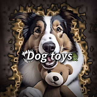 •𝘿𝙤𝙜 ᶜʰᵃᶰᶰᵉᶫ 𝙩𝙤𝙮𝙨 🐶