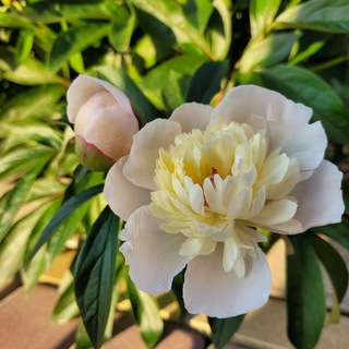 Мастерская уюта на белых холмах