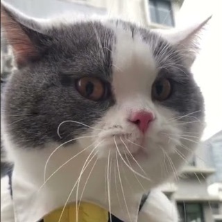 Математические зарисовки и etc.