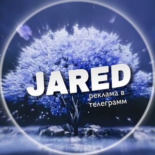 АГЕНТСТВО ДЖАРЕДА