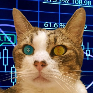 Meow on the Blockchain