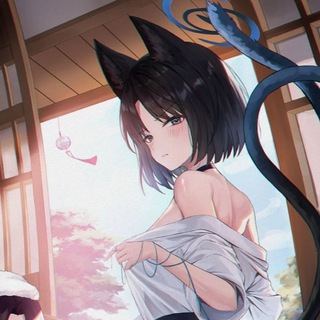 Meowgram Catgirls 🇺🇦