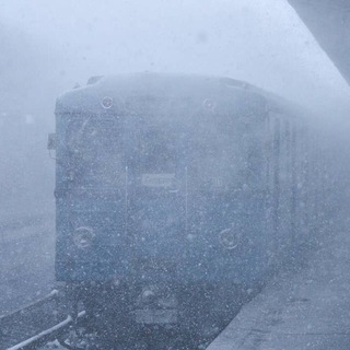 «Ёжик в тумане»