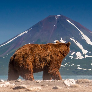 Mishutka. Travel. Russia