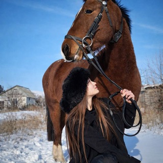 Миссия : Конкур