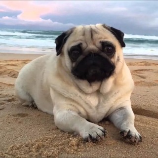 МистерПятёрка⁴²