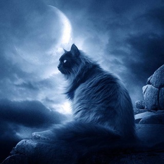 Мистика | Оккультизм