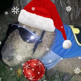 Берлога Mokis_timYT