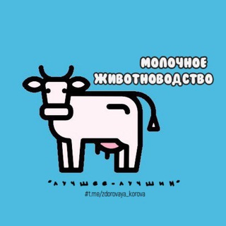 Молочное животноводство